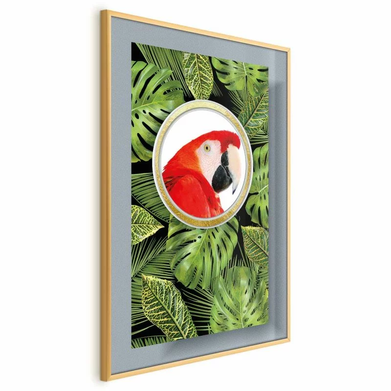 Plakat - Papuga w dżungli - obrazek 1