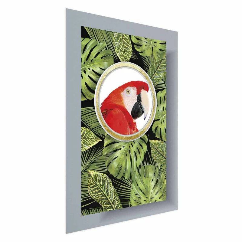 Plakat - Papuga w dżungli - obrazek 1