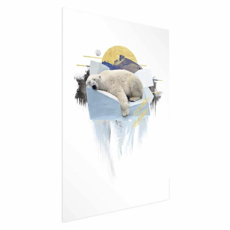 Plakat - Niedźwiedź polarny - obrazek 1