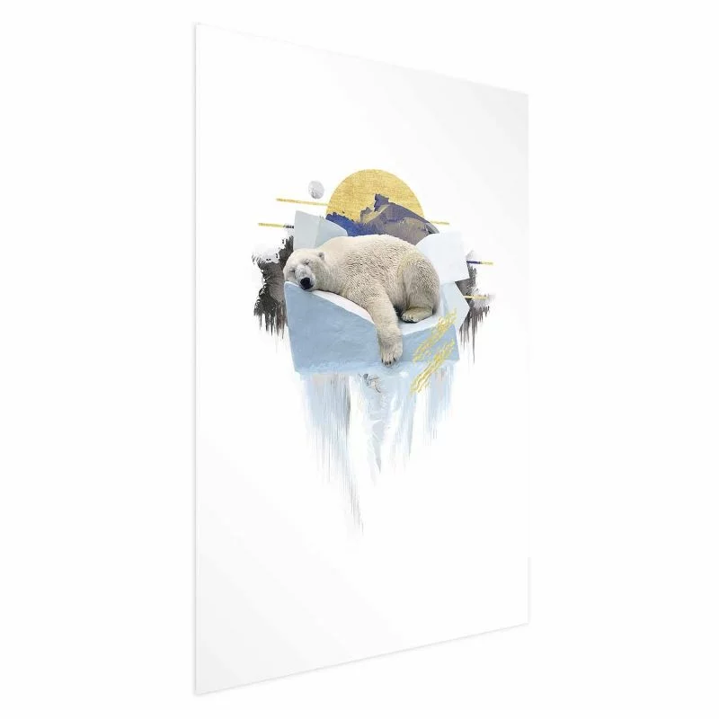 Plakat - Niedźwiedź polarny - obrazek 1