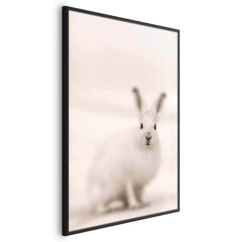 Plakat - Strachliwe spojrzenie - obrazek 1