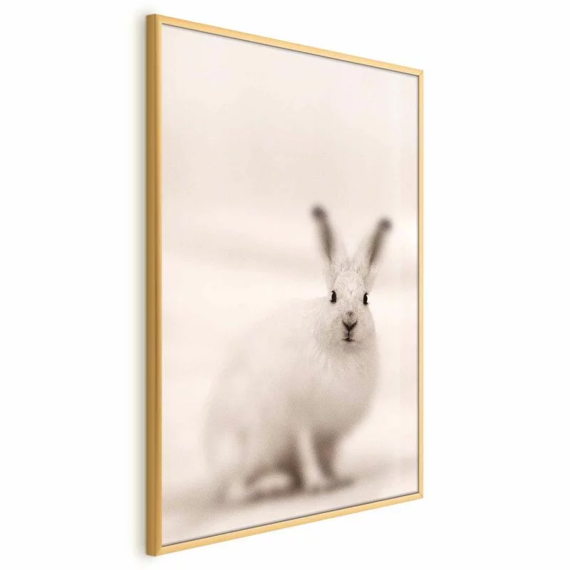 Plakat - Strachliwe spojrzenie - obrazek 1