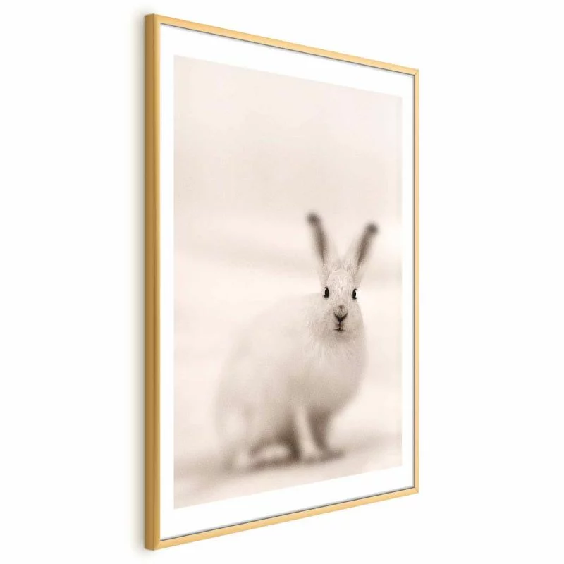 Plakat - Strachliwe spojrzenie - obrazek 1