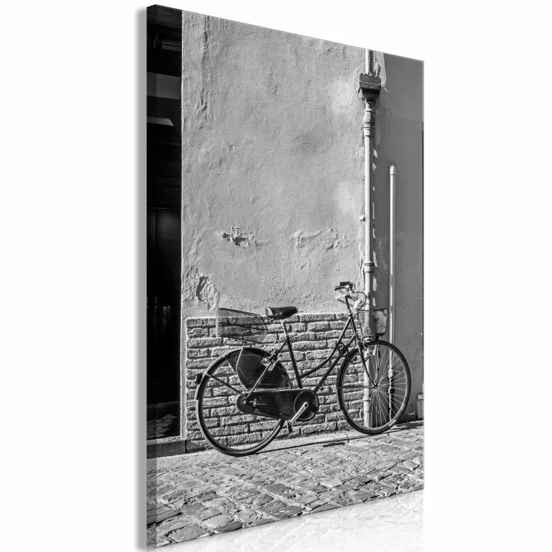 Obraz - Stary włoski rower (1-cześciowy) pionowy - obrazek 1