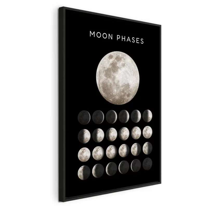 Obraz - Fazy księżyca (1-częściowy) pionowy - obrazek 1