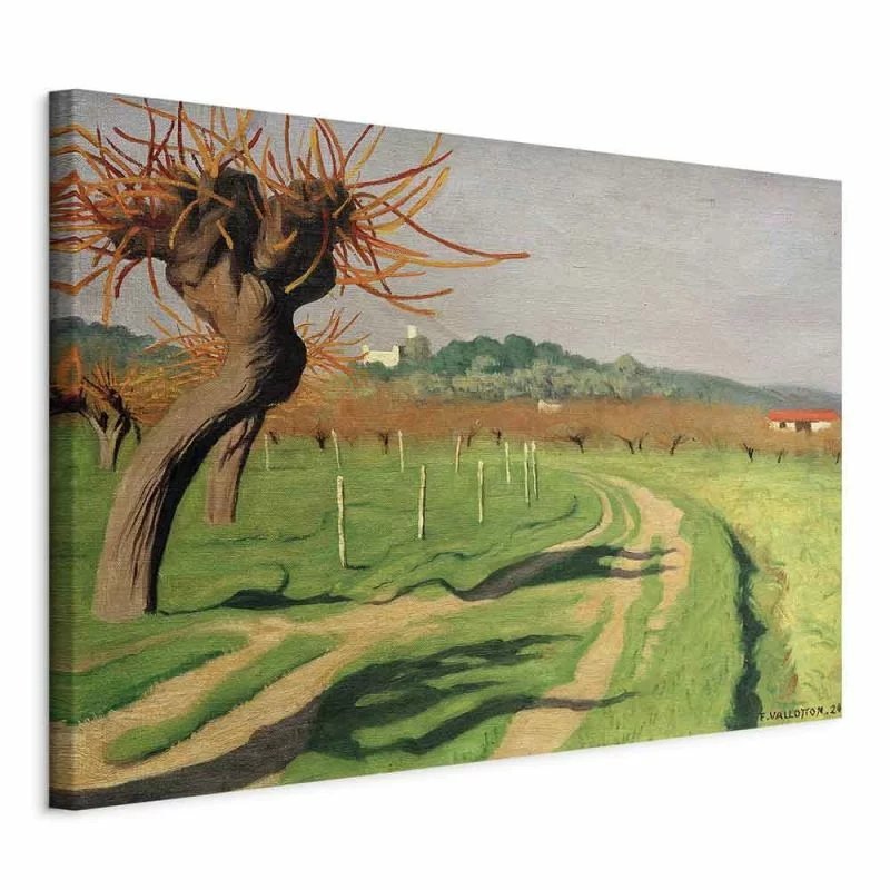 Obraz - Vallée de la Cagne (Félix Vallotton) - obrazek 1