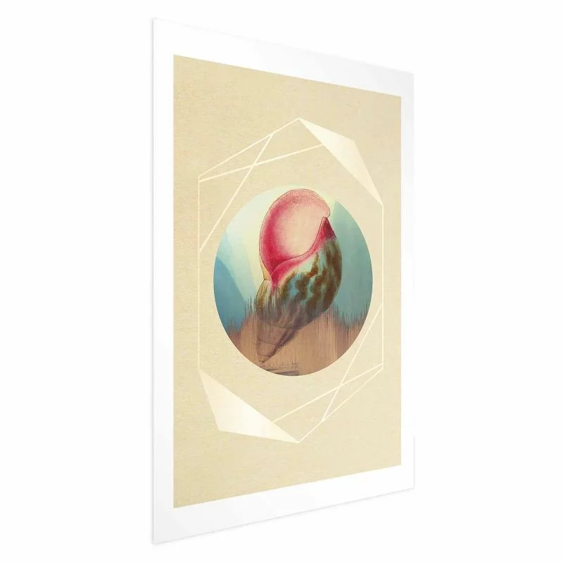 Plakat - Muszla - obrazek 1