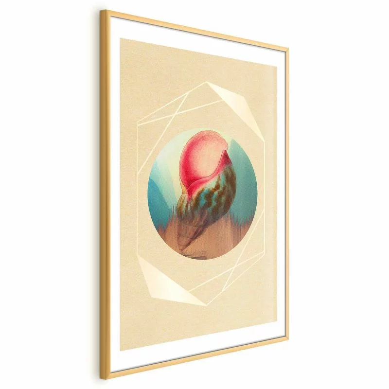 Plakat - Muszla - obrazek 1