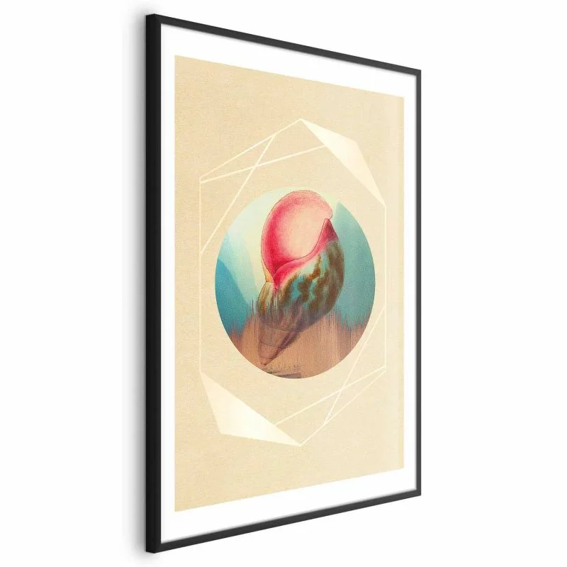Plakat - Muszla - obrazek 1