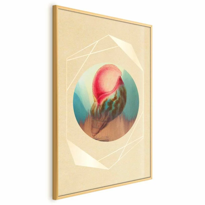 Plakat - Muszla - obrazek 1