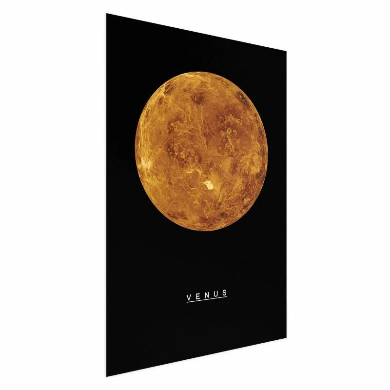 Plakat - Wenus - obrazek 1