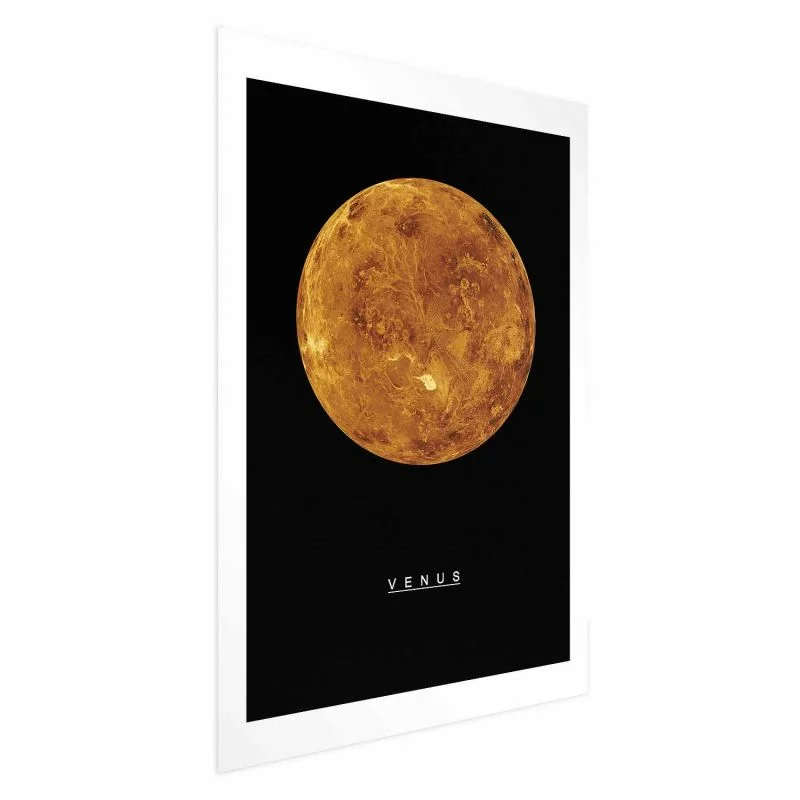 Plakat - Wenus - obrazek 1