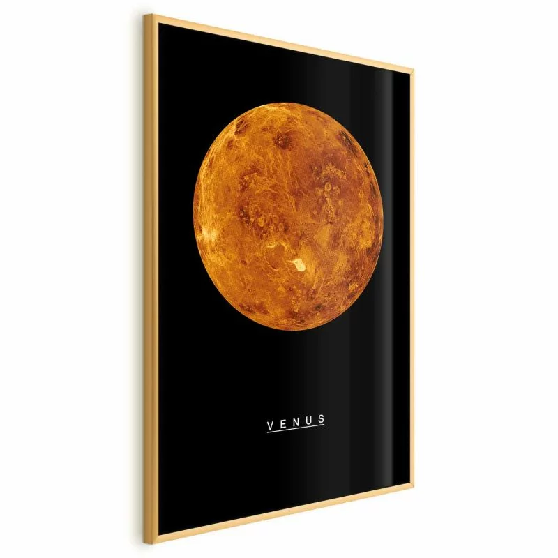 Plakat - Wenus - obrazek 1