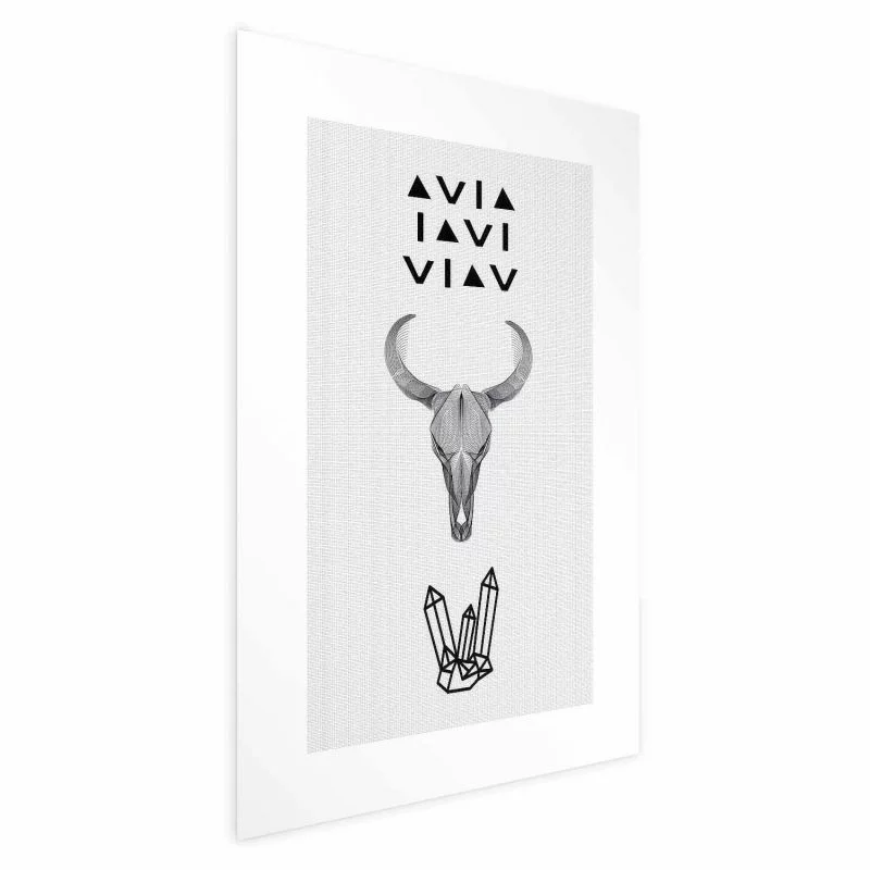 Plakat - Zwierzęca czaszka - obrazek 1