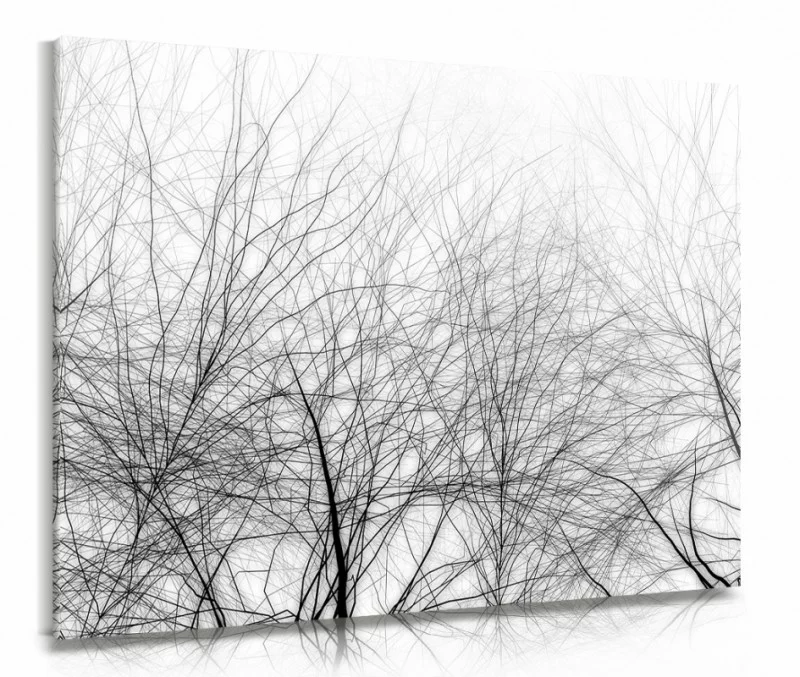 Gałęzie drzew - nowoczesny obraz na płótnie - obrazek 1