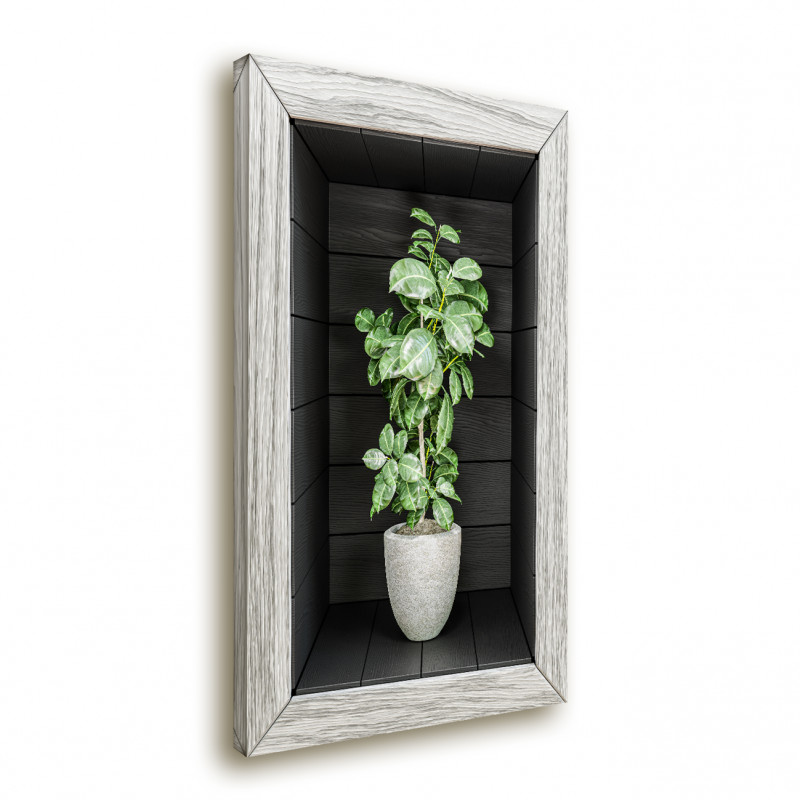 Obraz 3D - ciemna wnęka z kwiatem XIV