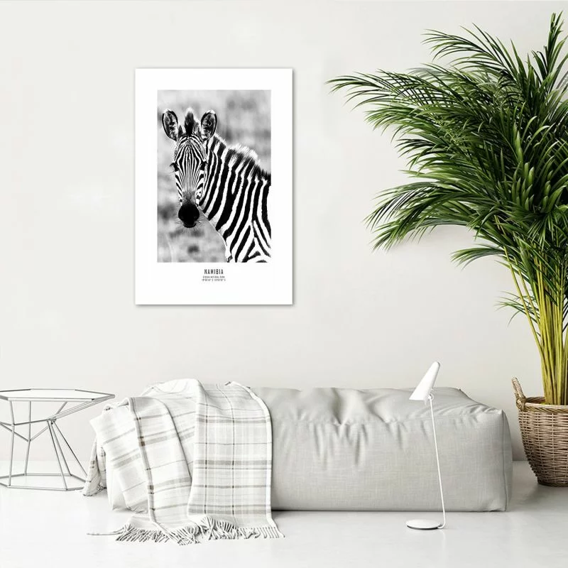 Plakat, Ciekawska zebra - obrazek 1