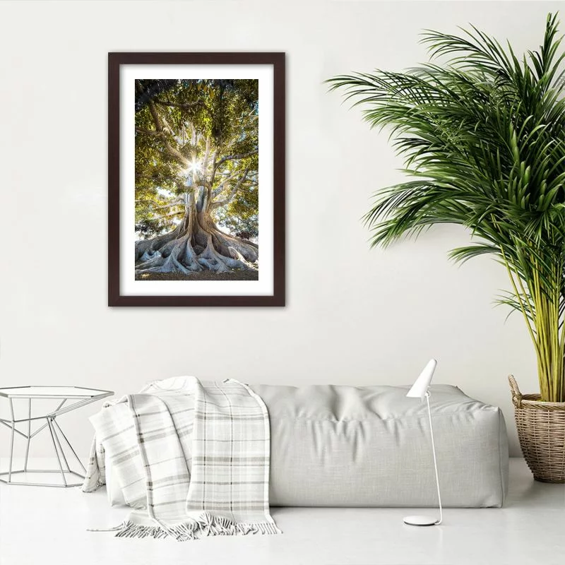 Obraz w ramie, Wielkie egzotyczne drzewo - obrazek 1