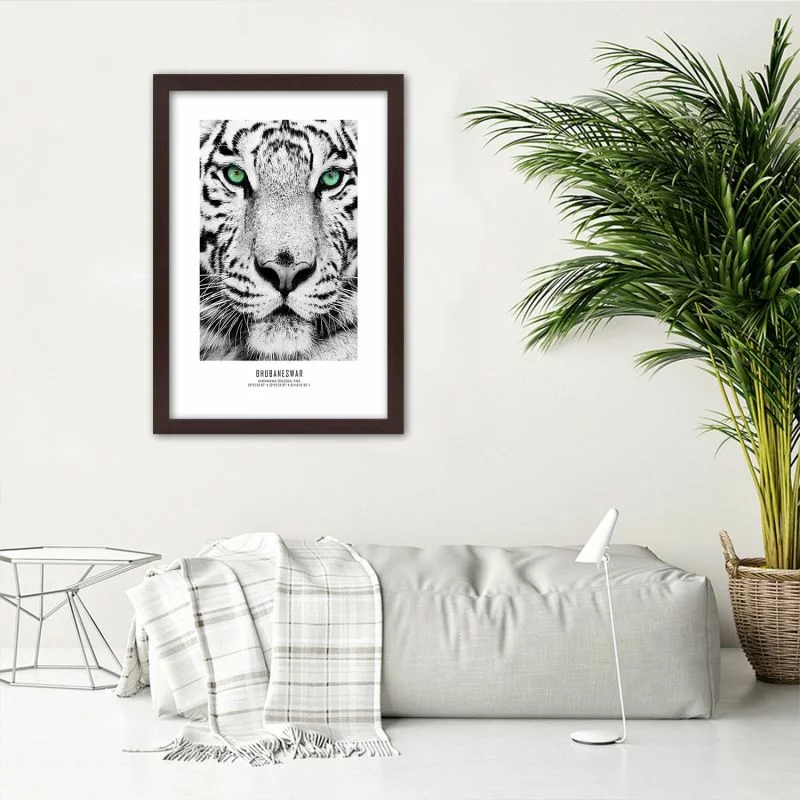 Obraz w ramie, Biały tygrys - obrazek 1