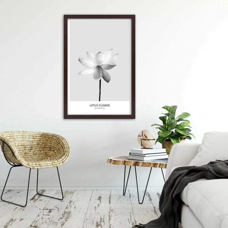 Obraz w ramie, Biały kwiat lotosu - obrazek 1