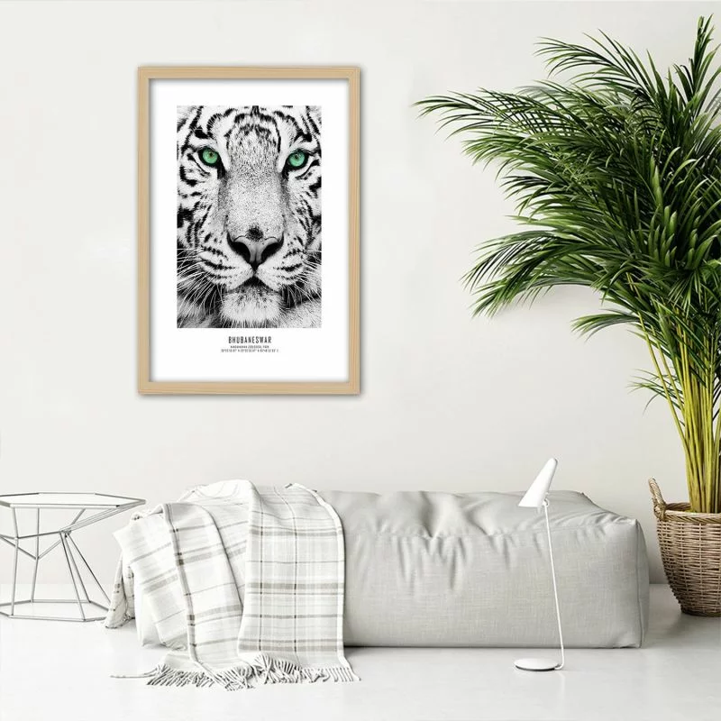 Obraz w ramie, Biały tygrys - obrazek 1