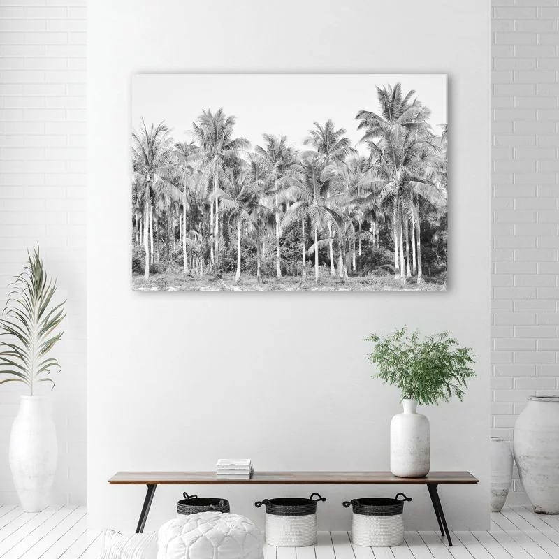 Obraz na płótnie, Czarno białe palmy w dżungli - obrazek 1
