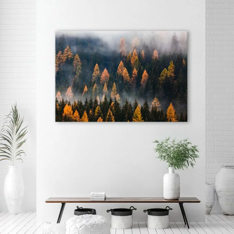 Obraz Deco Panel, Jesienny krajobraz drzew - obrazek 1