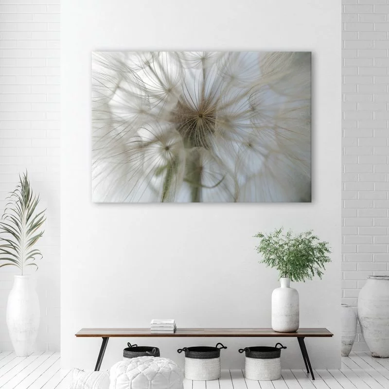 Obraz Deco Panel, Dmuchawiec w skali makro - obrazek 1