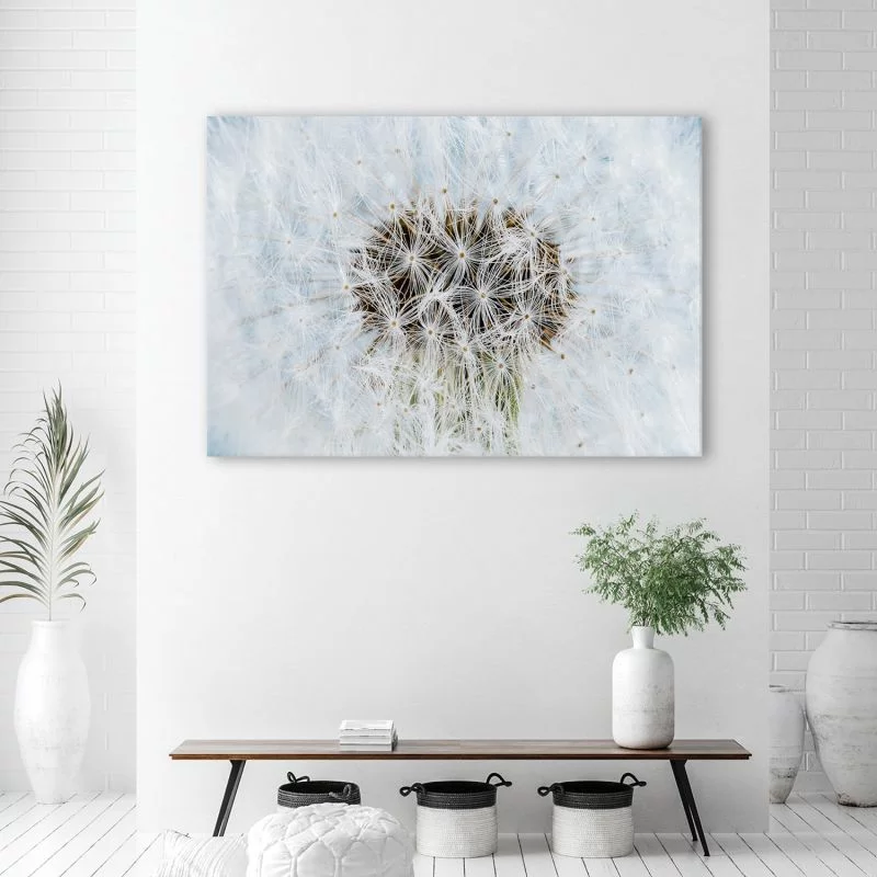 Obraz Deco Panel, Dmuchawiec biały kwiaty - obrazek 1