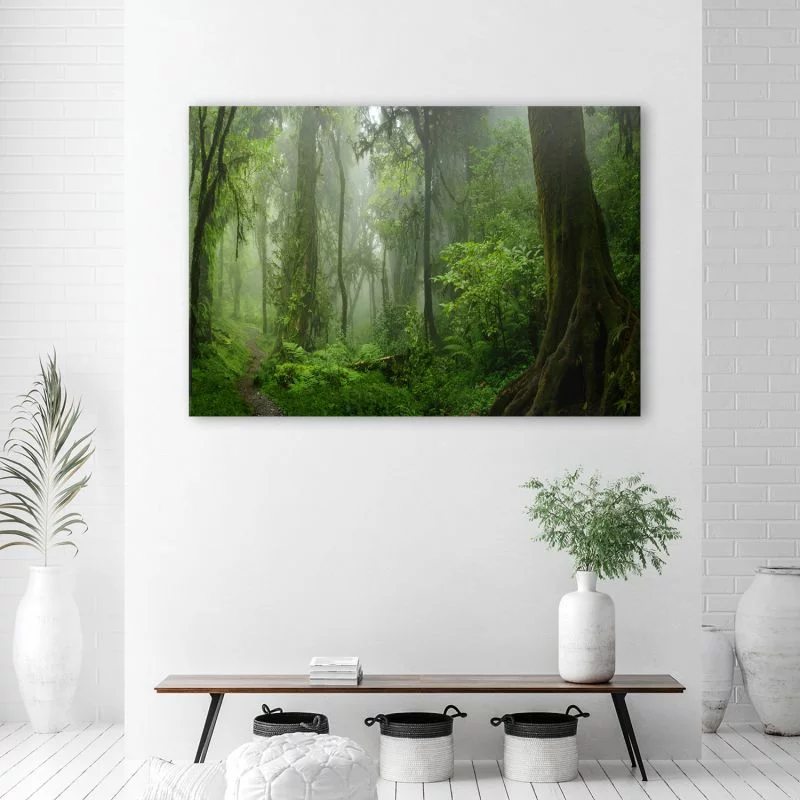 Obraz na płótnie, Tropikalny las dżungla - obrazek 1