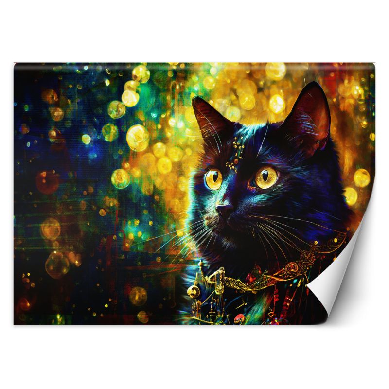 Fototapeta, Czarny Kot Abstrakcja