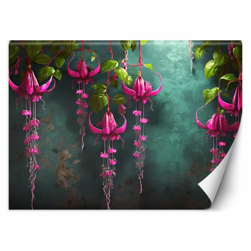Fototapeta, Zwisające kwiaty wisteria - obrazek 1