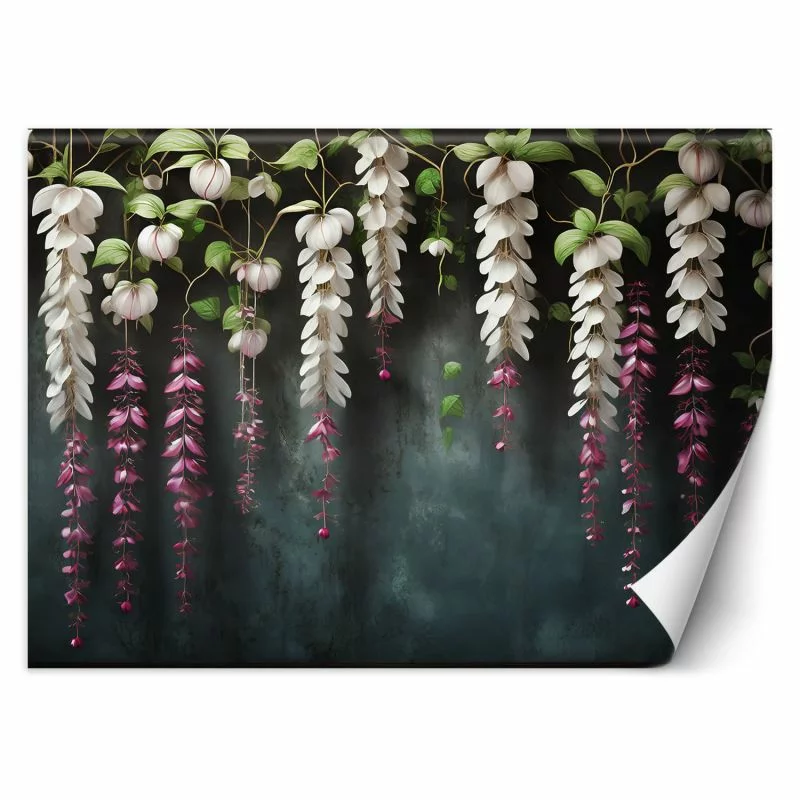 Fototapeta, Zwisające kwiaty wisteria - obrazek 1