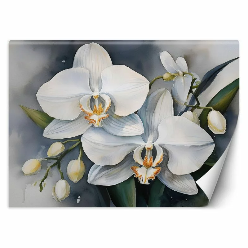 Fototapeta, Kwiat orchidei Abstrakcja - obrazek 1