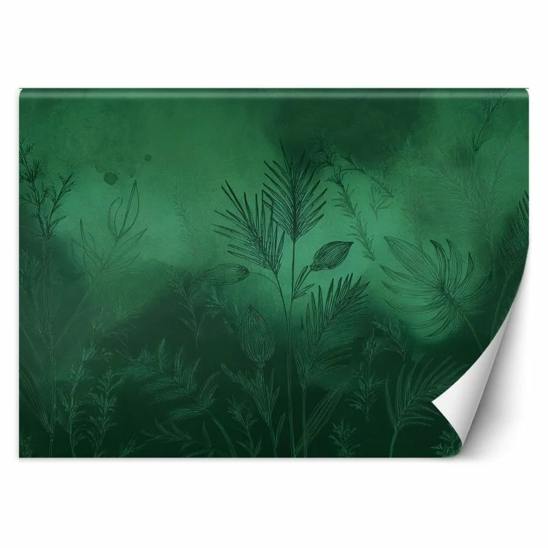 Fototapeta, Zielona abstrakcja botaniczna - obrazek 1