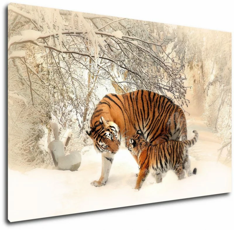 Obraz na płótnie - Tygrysy - obrazek 1