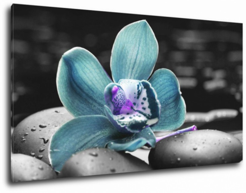 obraz storczyk w kolorze turkusowym