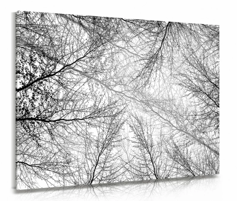 Obraz wśród drzew - obrazek 1