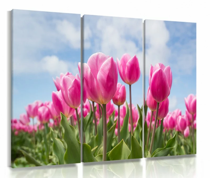 Obraz różowe tulipany - obrazek 1