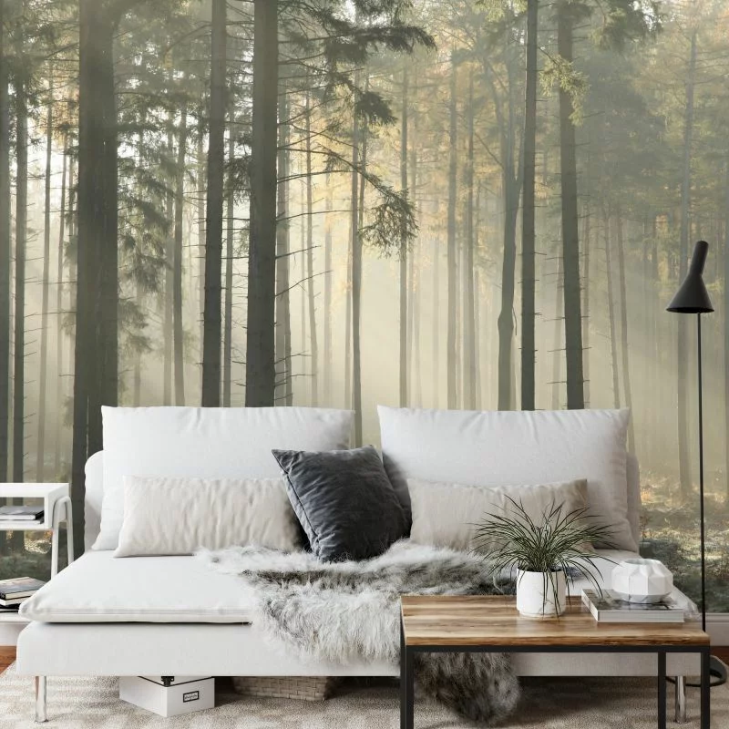 Fototapeta Las Drzewa Mgła - obrazek 1