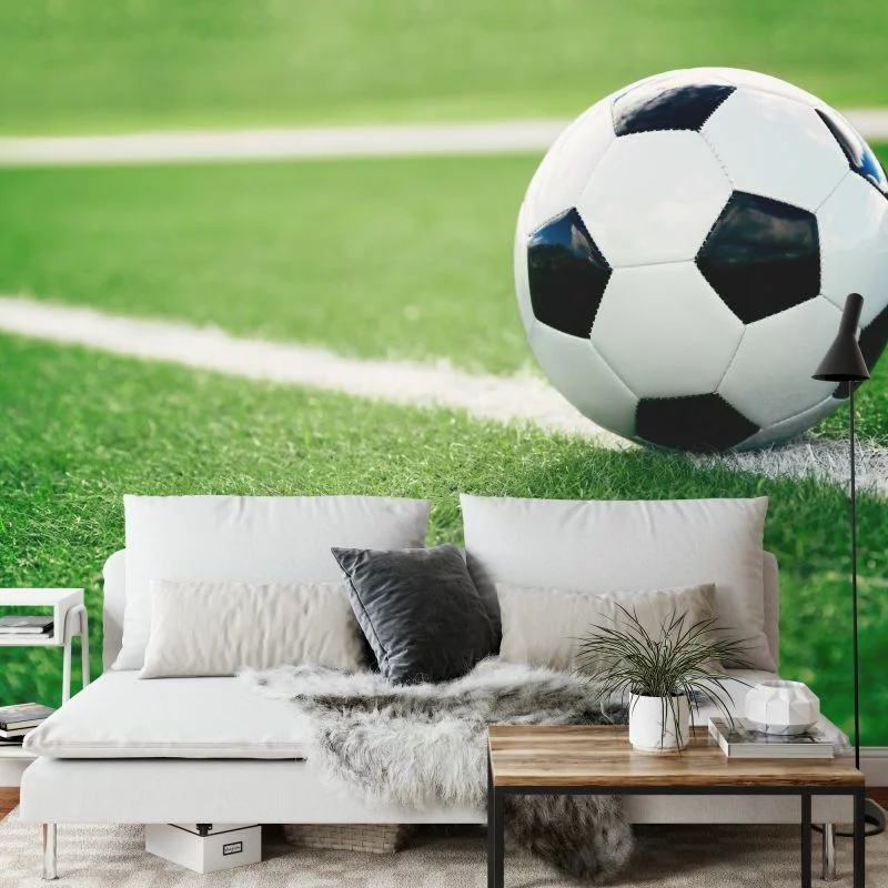 Fototapeta Piłka Nożna Na Linii - obrazek 1