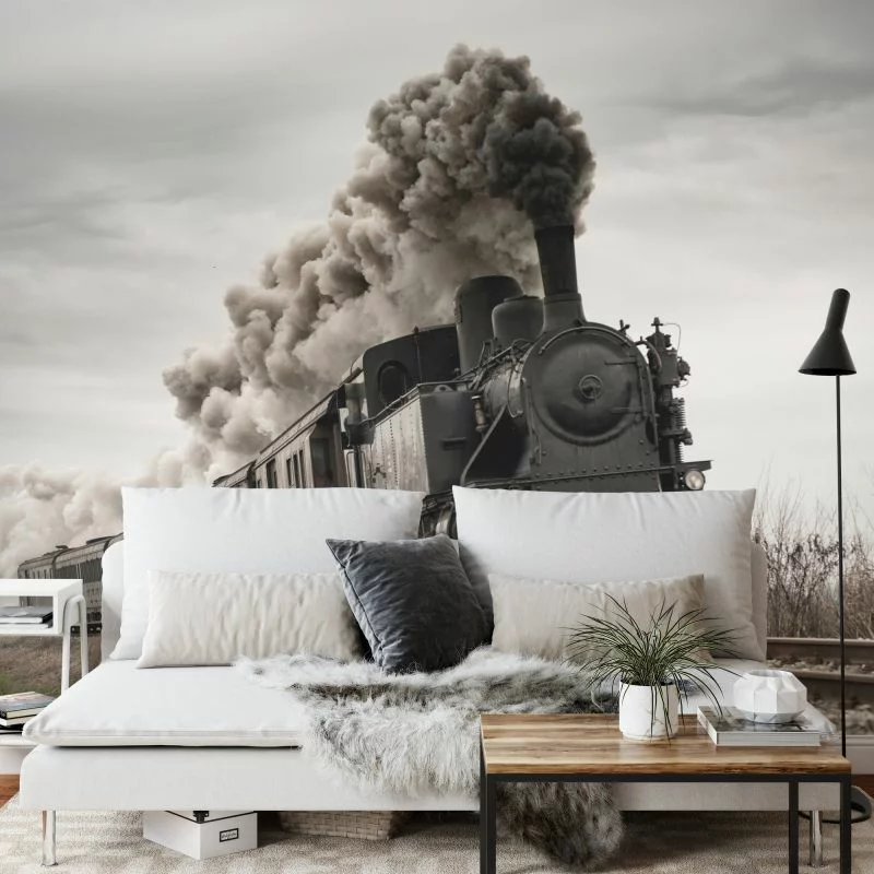 Fototapeta Zabytkowa Lokomotywa W Ruchu - obrazek 1