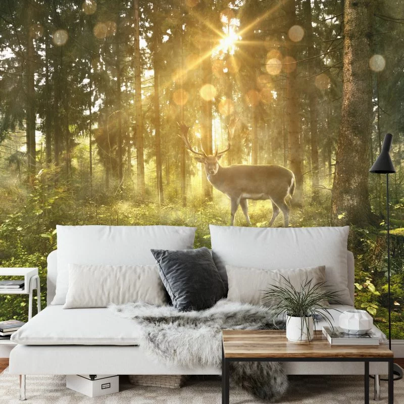 Fototapeta Jeleń O Poranku W Lesie - obrazek 1