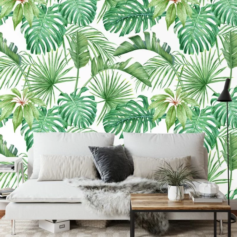 Fototapeta Liście Monstera - obrazek 1