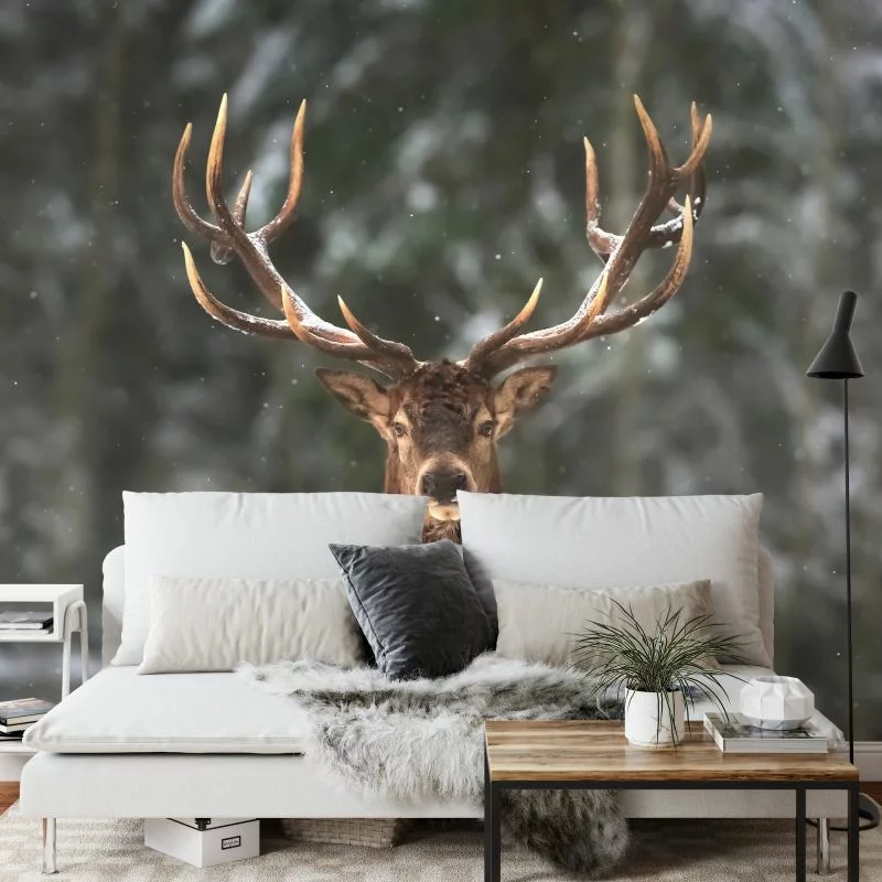 Fototapeta Jeleń W Lesie - obrazek 1