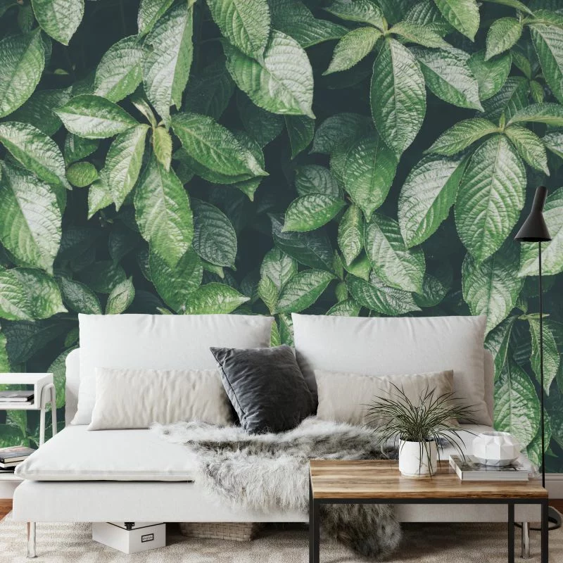 Fototapeta Liście Natura - obrazek 1