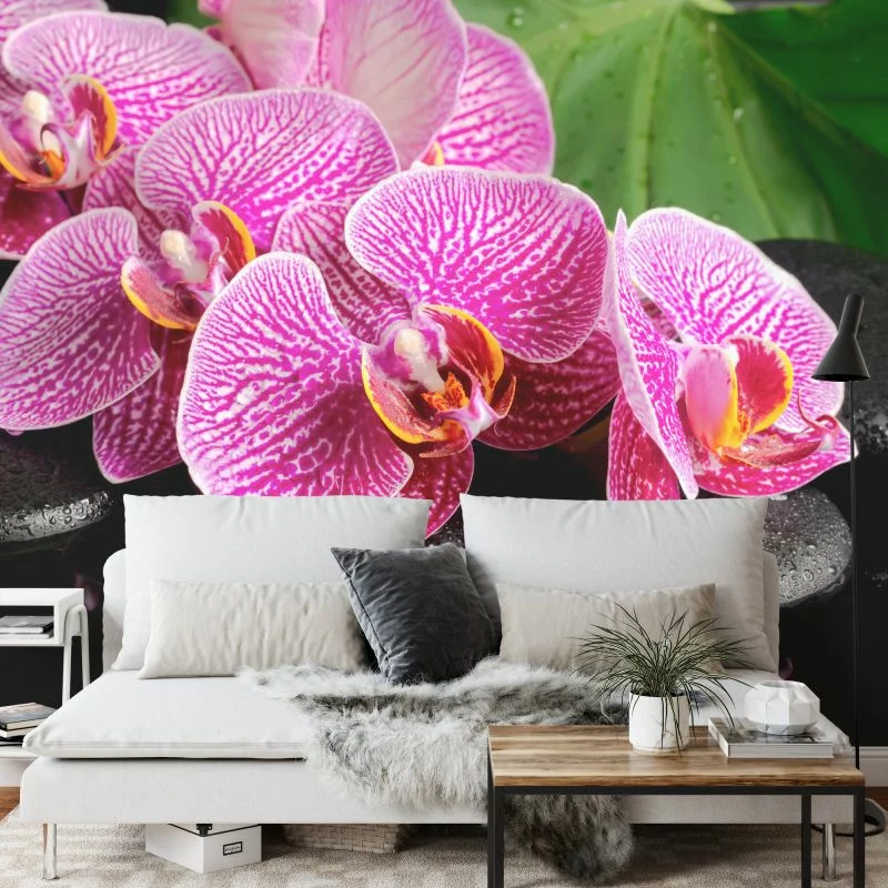 Fototapeta Orchidea Spa - obrazek 1