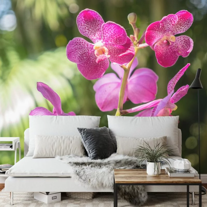 Fototapeta Piękne Orchidee - obrazek 1