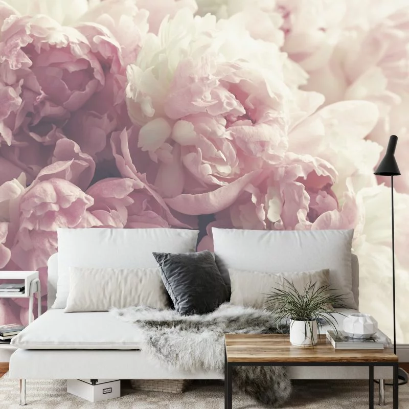 Fototapeta Kwitnące Peonie - obrazek 1