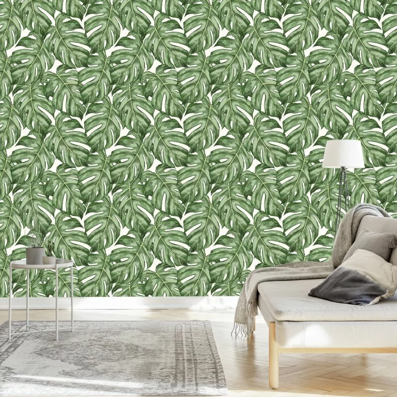 Tapeta Liście Monstera - obrazek 1
